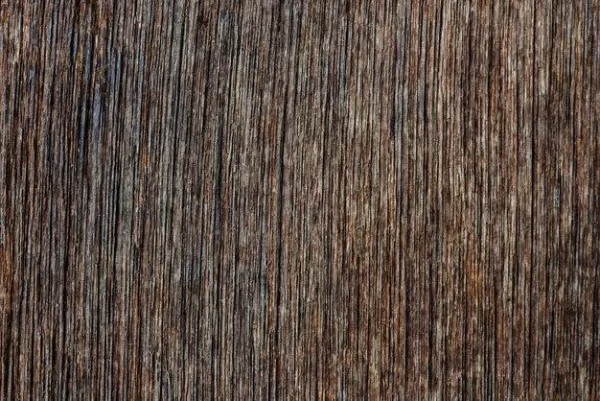 Variedade de cores